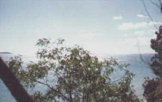 wpe98709.gif (69272 bytes)