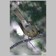 inskip_lewin_honeyeater2.jpg