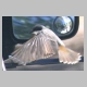 inskip_rufous_whistler_m2.jpg