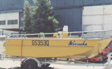 wpe87660.gif (64944 bytes)