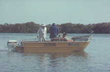 wpe15947.gif (64296 bytes)