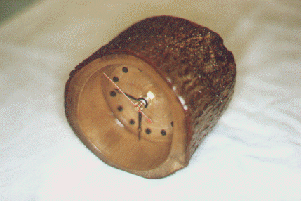 wpe51425.gif (65788 bytes)